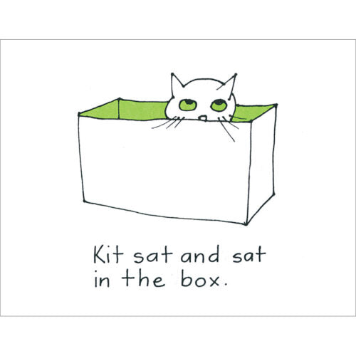Phonics Readers Box Set - BOB Books #1   Beginning Readers