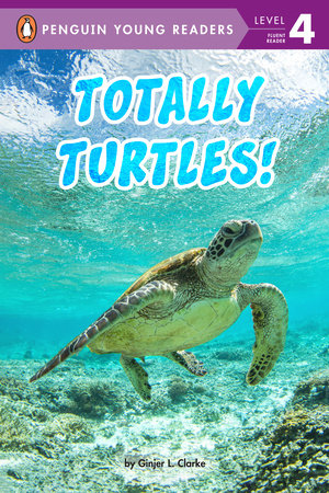 PYR 4  - Totally Turtles