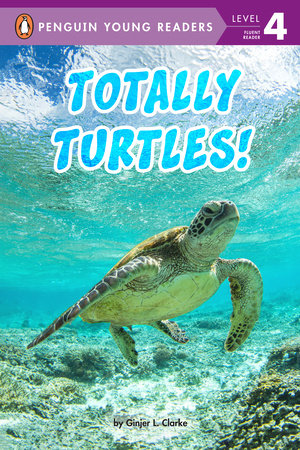 PYR4  - Totally Turtles - COMING JULY 2024!