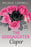 Rapid Reads  - The Goddaughter Caper