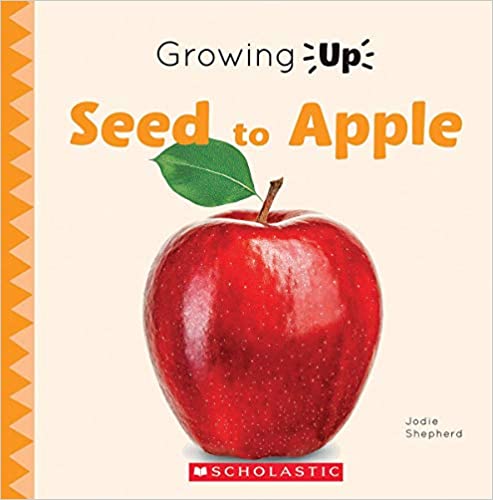 Growing Up: Seed to Apple    (Picture Book)