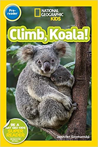 NGR Pre1 - Climb, Koala!