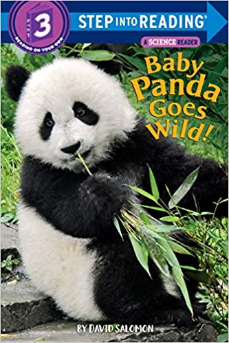 STEP 3 - Baby Panda Goes Wild!