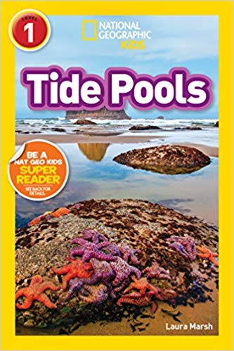 NGR 1 - Tide Pools