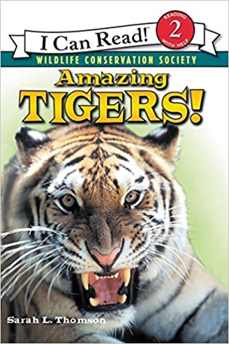 ICR 2 - Amazing Tigers!