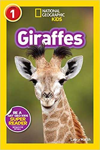NGR 1 - Giraffes