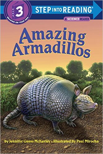 STEP 3 - Amazing Armadillos