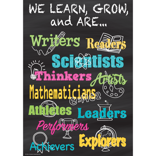 Poster: We Learn, Grow, and Are...