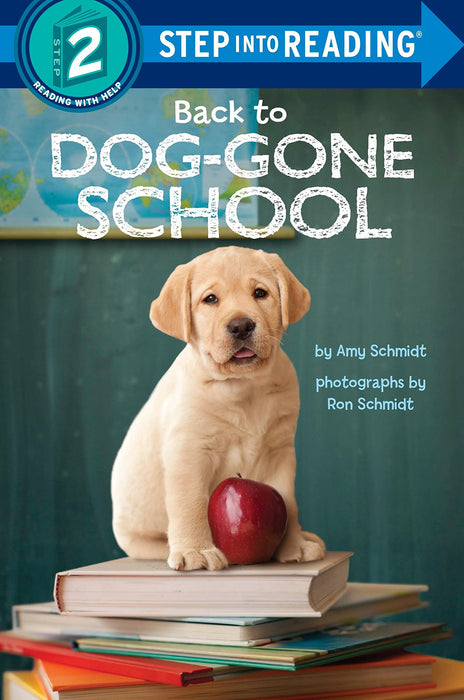 STEP 2 - Back to Dog - Gone School