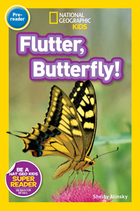 NGR Pre1 - Flutter, Butterfly!