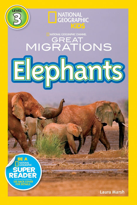 NGR 3 - Elephants