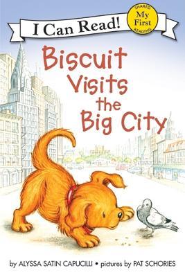 My 1st ICR - Biscuit Visits the Big City