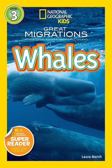 NGR 3 - Whales