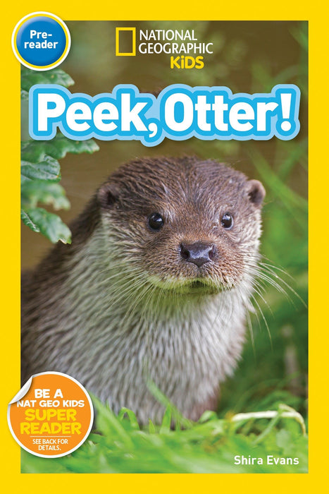 NGR Pre1 - Peek, Otter