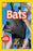 NGR 2 - Bats