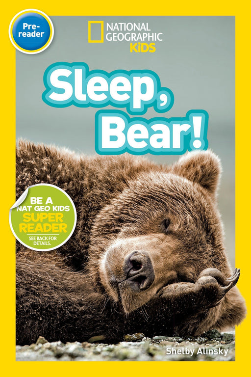 NGR Pre1 - Sleep, Bear!