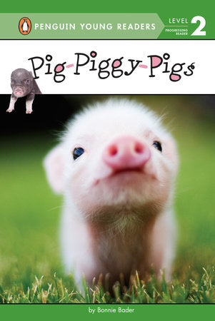 PYR 2 - Pig-Piggy-Pigs