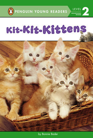 PYR 2 - Kit-Kit-Kittens