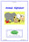 In English with Debbie - Animal Alphabet  (Phonics Based Reading Comprehension)