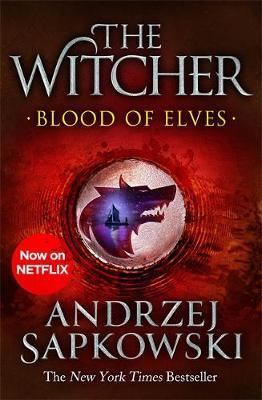 The Witcher: Blood of Elves