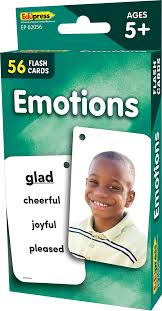 TCR Flashcards - Emotions