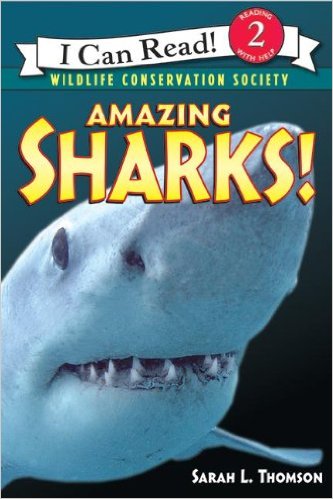 ICR 2 - Amazing Sharks!