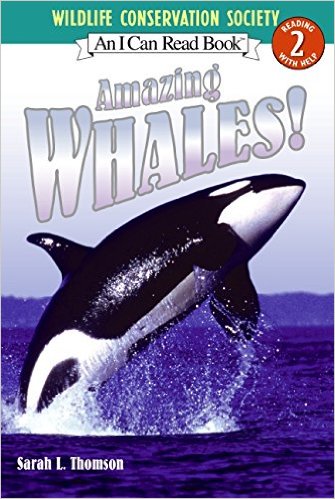 ICR 2 - Amazing Whales!