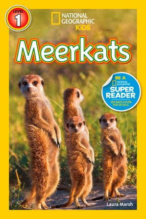 NGR 1 - Meerkats