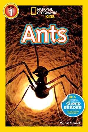 NGR 1 - Ants