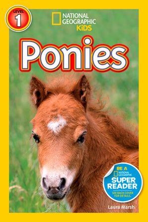 NGR 1 - Ponies
