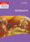 Collins Primary English - Grade 4 Workbook